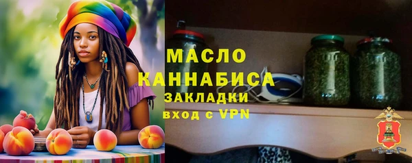 гидра Инсар