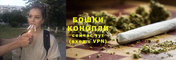 мяу мяу мука Инта