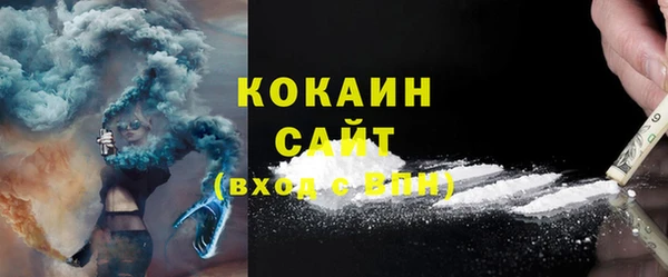 гидра Инсар