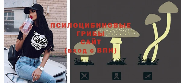 индика Иннополис