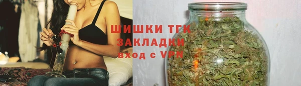 индика Иннополис