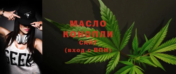 гидра Инсар