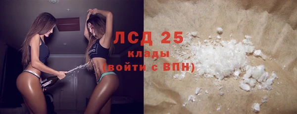 гидра Инсар