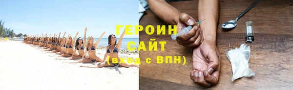 гидра Инсар