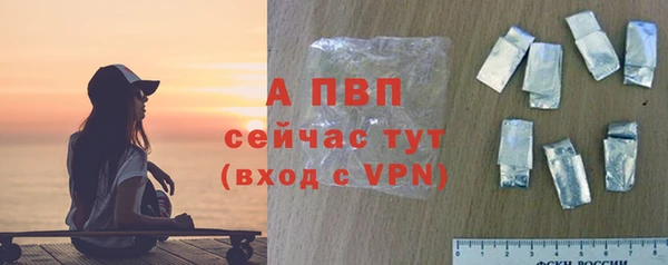 гидра Инсар