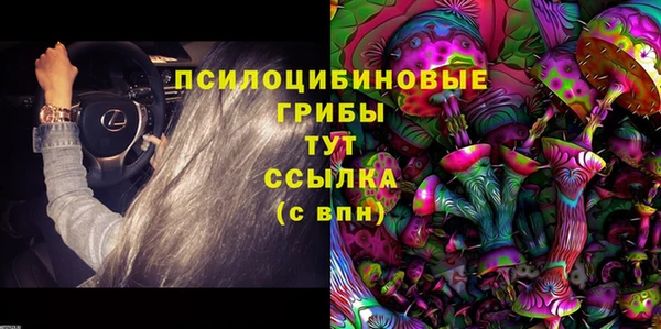 мяу мяу мука Инта