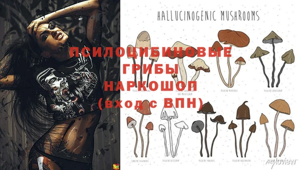 индика Иннополис