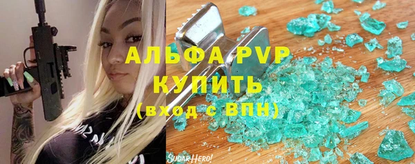 гидра Инсар