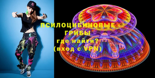 гидра Инсар