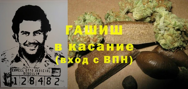 гидра Инсар