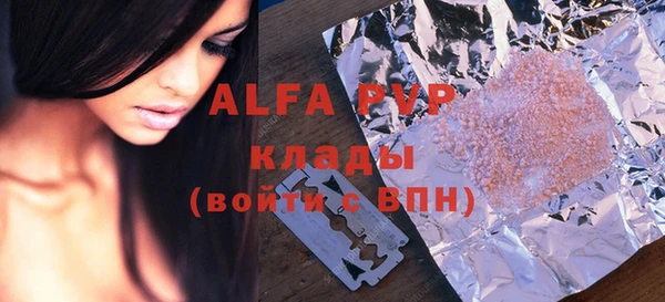 индика Иннополис
