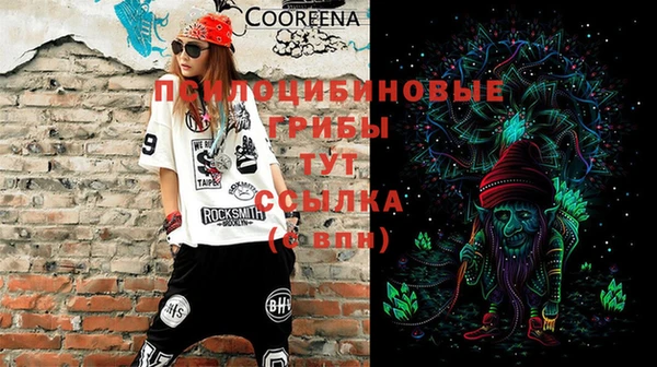 мяу мяу мука Инта
