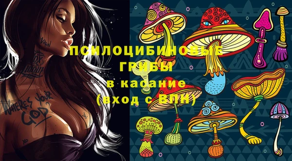 мяу мяу мука Инта