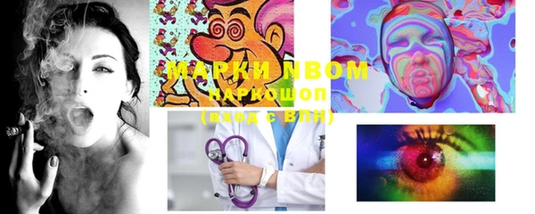 индика Иннополис