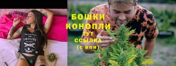 гидра Инсар