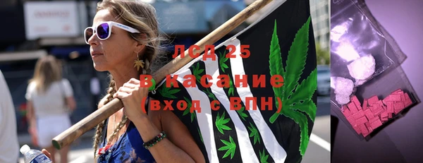 индика Иннополис