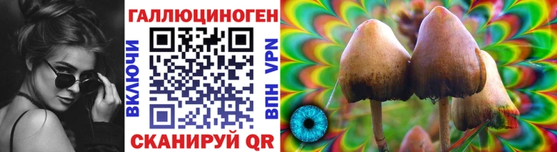 Купить закладки Демидов Галлюциногенные грибы Cubensis