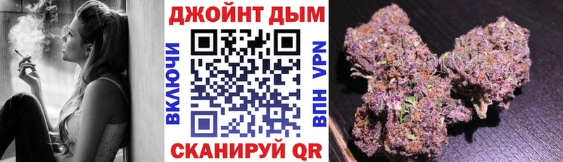 Купить закладки  Демидов  Конопля семена 